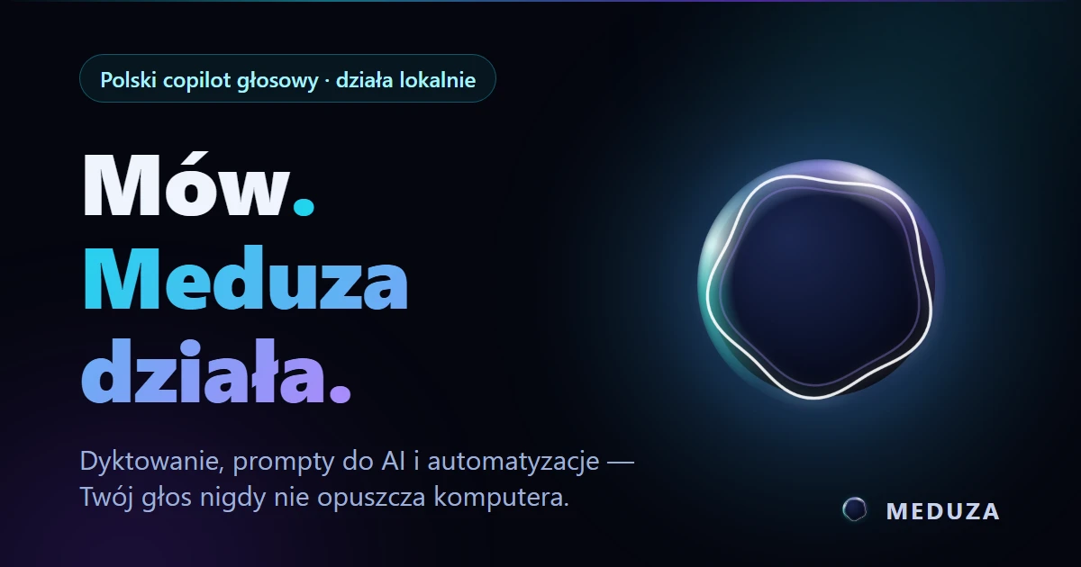 Meduza Co-Pilot — grafika oryginalnego landingu